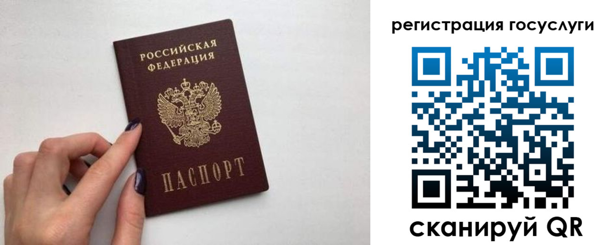 временная регистрация гарантия в Барыше